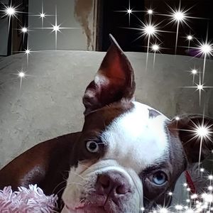 Meet your Posher, Leanne